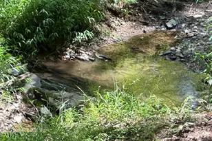 1621 Hudson Hollow Rd, Stephens City, VA 22655 - Photo 75