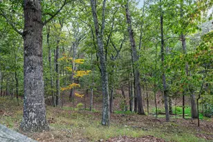 2411 Hunting Ridge Rd, Winchester, VA 22603 - Photo 43