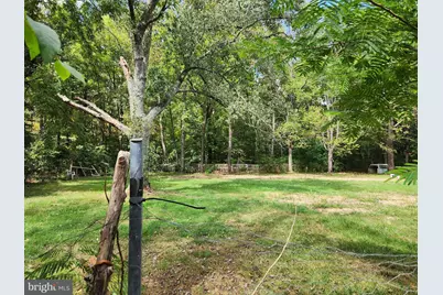 2138 Back Creek Road, Gore, VA 22637 - Photo 5