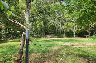 2138 Back Creek Rd, Gore, VA 22637 - Photo 5