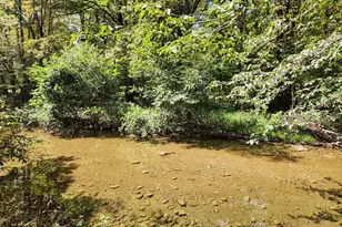 2138 Back Creek Rd, Gore, VA 22637 - Photo 9