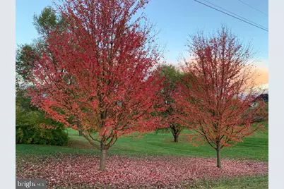 252 Punkin Ridge Drive, Clear Brook, VA 22624 - Photo 7