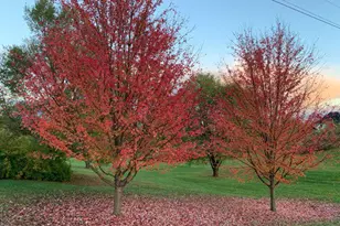 252 Punkin Ridge Dr, Clear Brook, VA 22624 - Photo 7