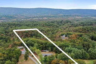 3634 Wardensville Grade, Winchester, VA 22602 - Photo 53