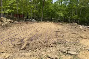 603 Opossum Trail, Winchester, VA 22602 - Photo 7