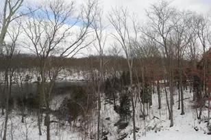 117 Harvester Dr, Lake Frederick, VA 22630 - Photo 43