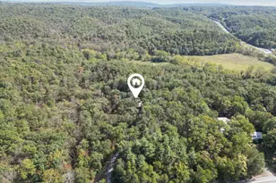 220 Chestnut Grove Rd, Winchester, VA 22603 - Photo 49