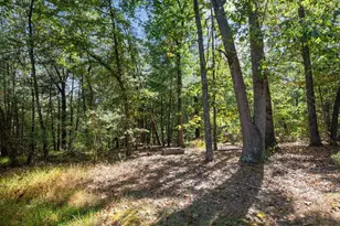 220 Chestnut Grove Rd, Winchester, VA 22603 - Photo 39