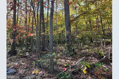 Fox Trail, Winchester, VA 22602 - Photo 13