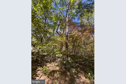 Fox Trail, Winchester, VA 22602 - Photo 19