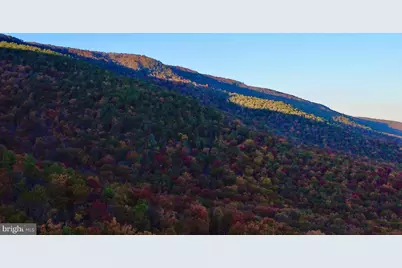 Fox Trail, Winchester, VA 22602 - Photo 3