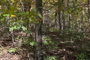 Fox Trail, Winchester, VA 22602 - Photo 1