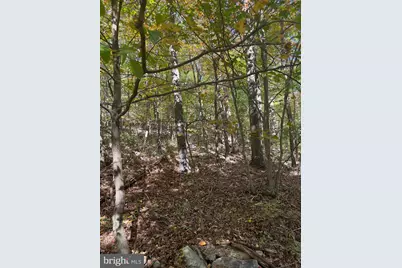 Fox Trail, Winchester, VA 22602 - Photo 9