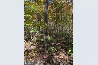 Fox Trail, Winchester, VA 22602 - Photo 9