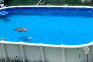 107 Dale Ct, Winchester, VA 22602 - Photo 31