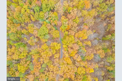 1631 Back Mountain Road, Winchester, VA 22603 - Photo 85