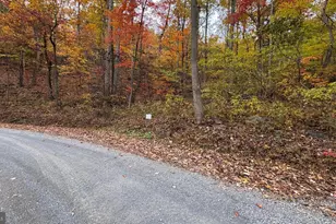 Lot 133 Tomahawk Trail, Winchester, VA 22602 - Photo 1