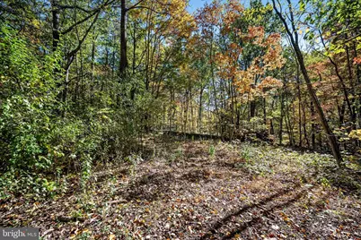 0 Hedrick Ln, Winchester, VA 22602 - Photo 13