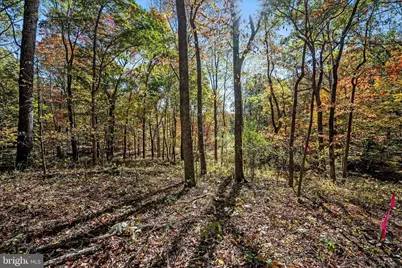 0 Hedrick Ln, Winchester, VA 22602 - Photo 17