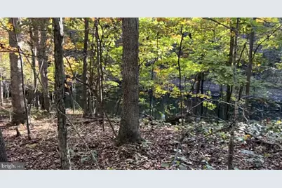 N Frederick Pike, Winchester, VA 22603 - Photo 13