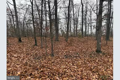 0 White Pine Lane, Winchester, VA 22602 - Photo 1