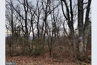 Bobcat Trail, Winchester, VA 22602 - Photo 7