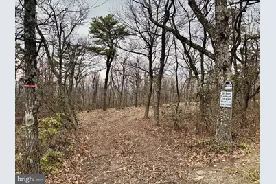 Bobcat Trail, Winchester, VA 22602 - Photo 3