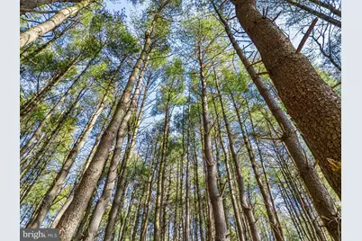 Lot 2D Woods Mill, Stephenson, VA 22656 - Photo 5