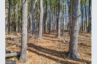 Lot 2D Woods Mill, Stephenson, VA 22656 - Photo 17