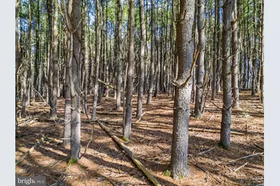 Lot 2D Woods Mill, Stephenson, VA 22656 - Photo 19