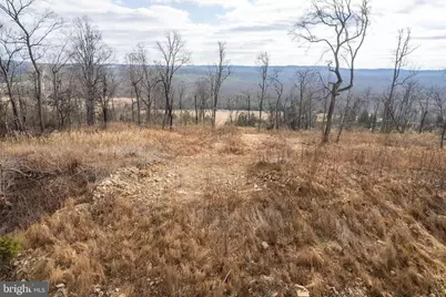 Back Mountain Road, Lot 11, Winchester, VA 22602 - Photo 9