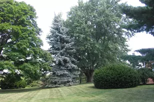 349 Town Run Ln, Stephens City, VA 22655 - Photo 11