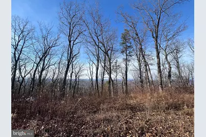 92 Bobcat Trail, Winchester, VA 22602 - Photo 9