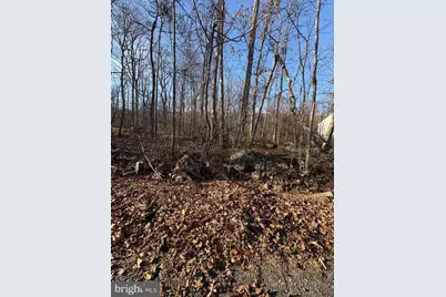 Lot 8 Crow Drive, Winchester, VA 22602 - Photo 1