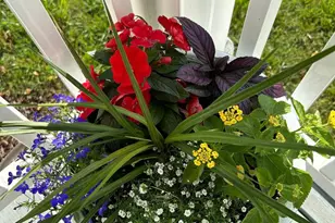 3466 Middle Rd, Winchester, VA 22602 - Photo 41