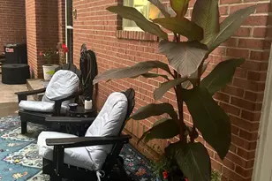 3466 Middle Rd, Winchester, VA 22602 - Photo 39