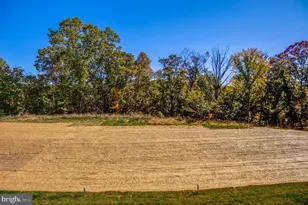 129 Leather Flower, Lake Frederick, VA 22630 - Photo 63