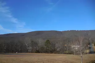 313 Beaver Trail, Winchester, VA 22602 - Photo 63