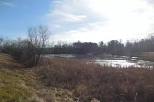 313 Beaver Trail, Winchester, VA 22602 - Photo 67