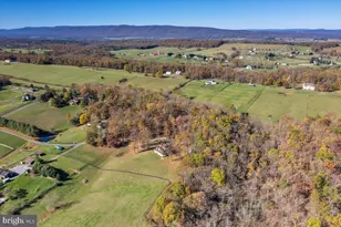 521 Hidden Valley Ln, Winchester, VA 22603 - Photo 29