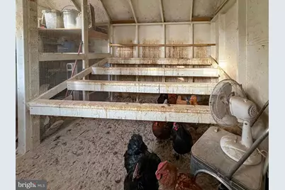 220 Oates Road, Star Tannery, VA 22654 - Photo 53