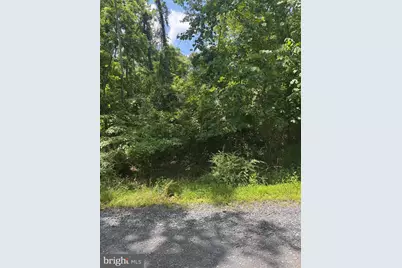 Lot 25 Forest Drive, Cross Junction, VA 22625 - Photo 11