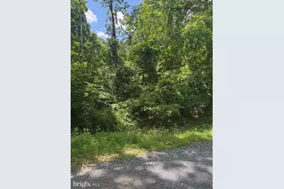 Lot 25 Forest Drive, Cross Junction, VA 22625 - Photo 9