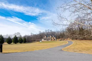 161 Skylar Lanes Way, Winchester, VA 22603 - Photo 3