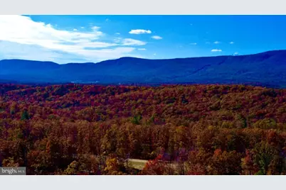 152.44 Acres Lot 2 Laurel Grove Road, Winchester, VA 22602 - Photo 15