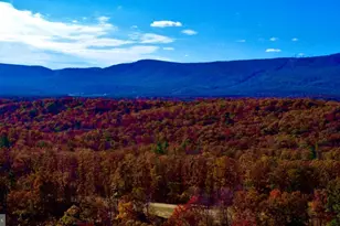 152 44 Acres Lot 2 Laurel Grove Rd, Winchester, VA 22602 - Photo 15