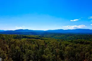 152 44 Acres Lot 2 Laurel Grove Rd, Winchester, VA 22602 - Photo 11