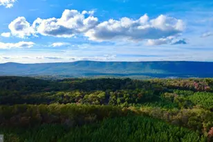 152 44 Acres Lot 2 Laurel Grove Rd, Winchester, VA 22602 - Photo 3