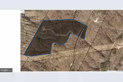 152.44 Acres Lot 2 Laurel Grove Road, Winchester, VA 22602 - Photo 9