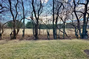 435 Mikey Ct, Winchester, VA 22601 - Photo 39